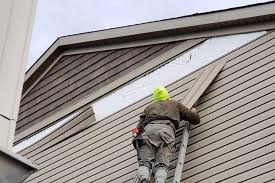 Best Vinyl Siding Installation  in Avonia, PA